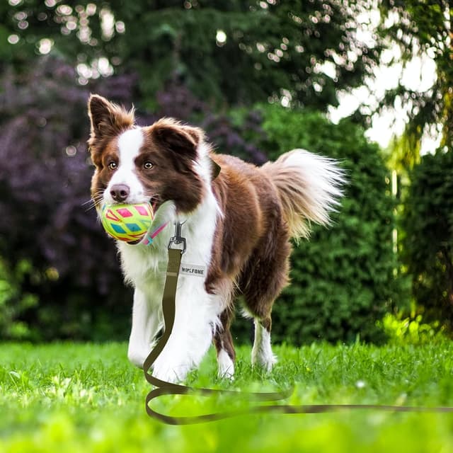 Detalle 2 de Wolfone Army Green 12m long line lead