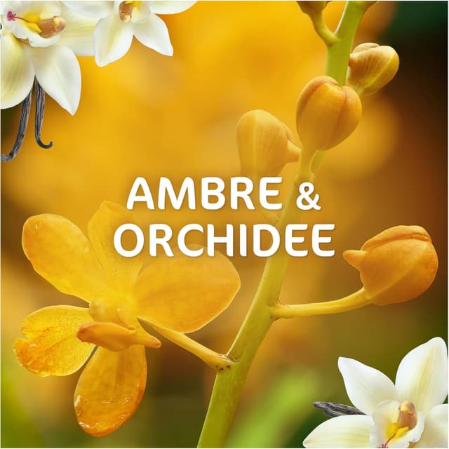 Thumbnail 5 de Dash 2-en-1 PODS 50 lavages Ambre