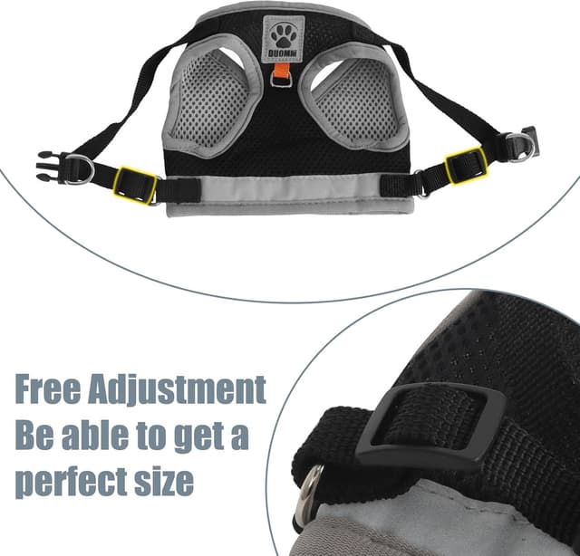 Thumbnail 4 de Pettorina Gatto Allungabile S con Guinzaglio 🐾