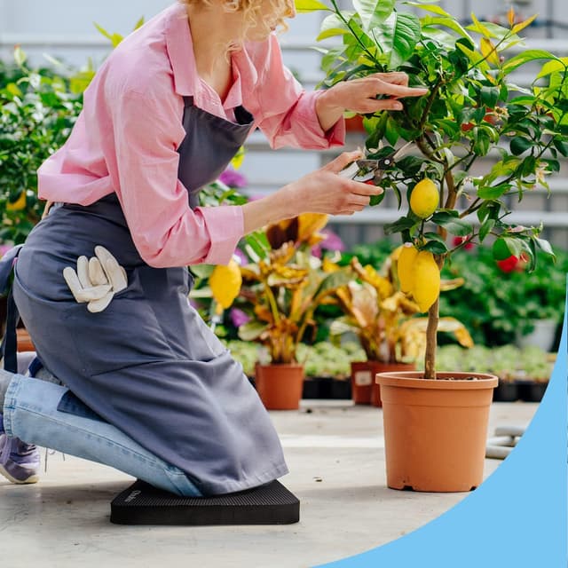 Detalle de Ohuhu Kniekissen Sitzkissen Mehrzweckkissen (43 x 28 x 4 cm) – Premium Knieschoner, Knie-Matte und Sitzunterlage, Schwarz