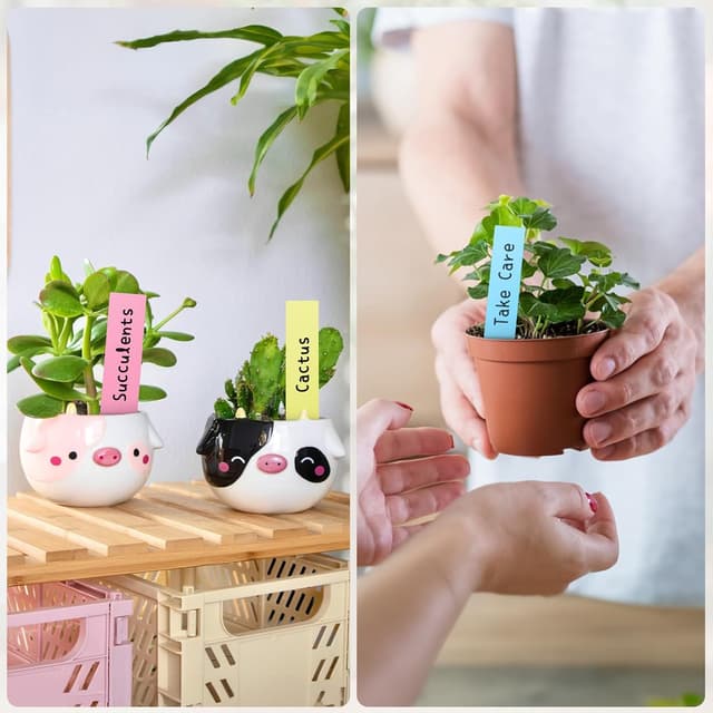 Thumbnail 5 de KINGLAKE Étiquettes plantes 100 pcs 10x2cm