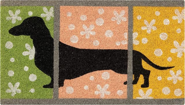 Detalle de Baroni Home zerbino ingresso in cocco dipinto a mano 70x40 cm con sfondo verde