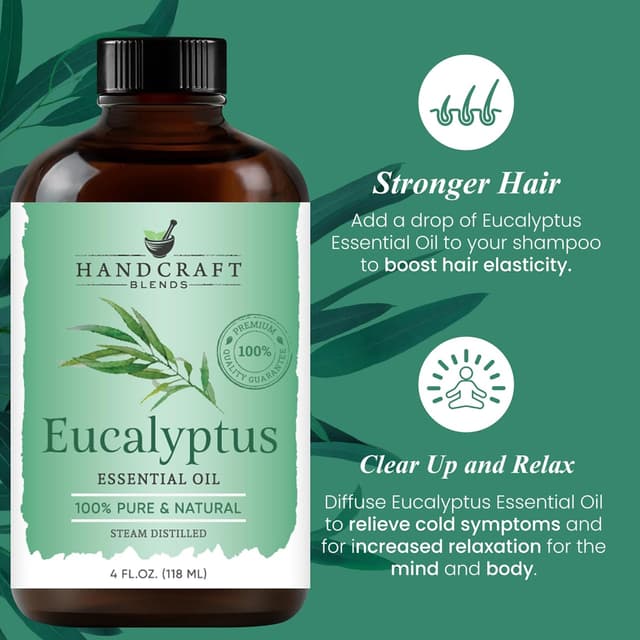 Thumbnail 4 de Handcraft Blends Eucalyptus Oil 4 fl oz