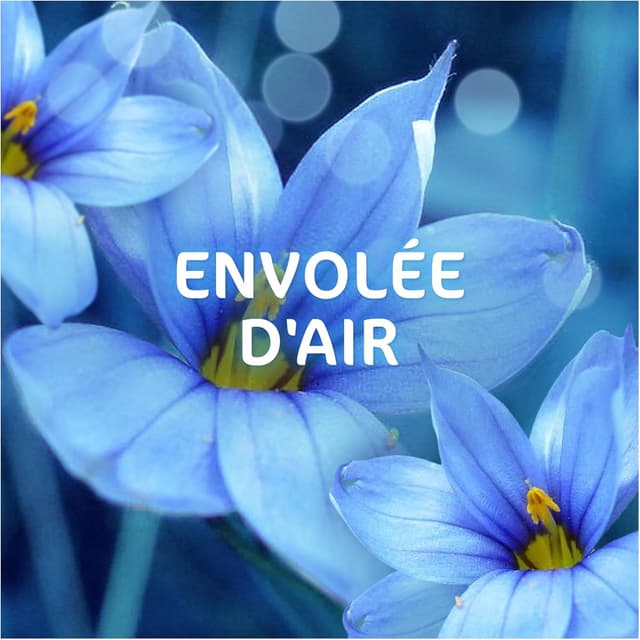 Thumbnail 5 de Dash 2en1 Lessive liquide Envolée d'Air 60 lavages