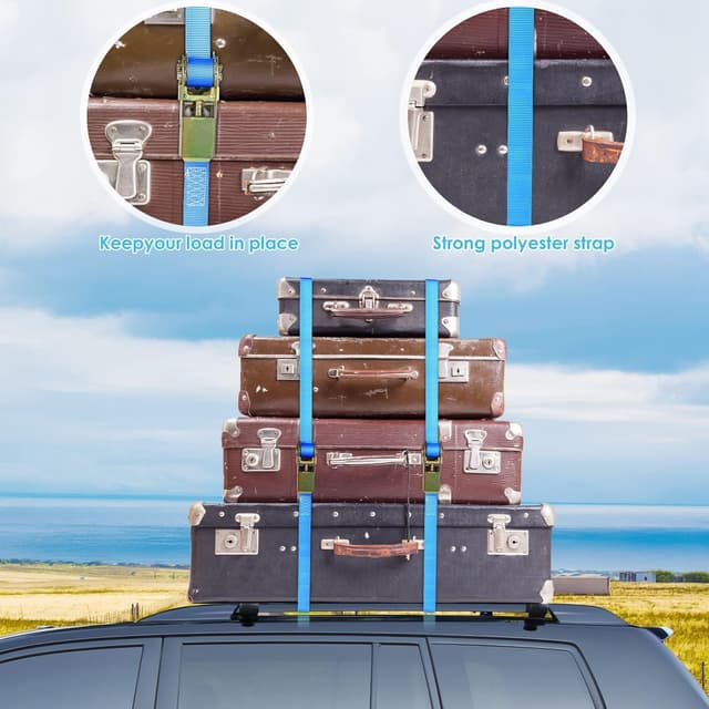 Detalle de TLGREEN Confezione da 10 cinghie di ancoraggio con cricchetto da 6 m (25 mm), portata 800 kg, blu