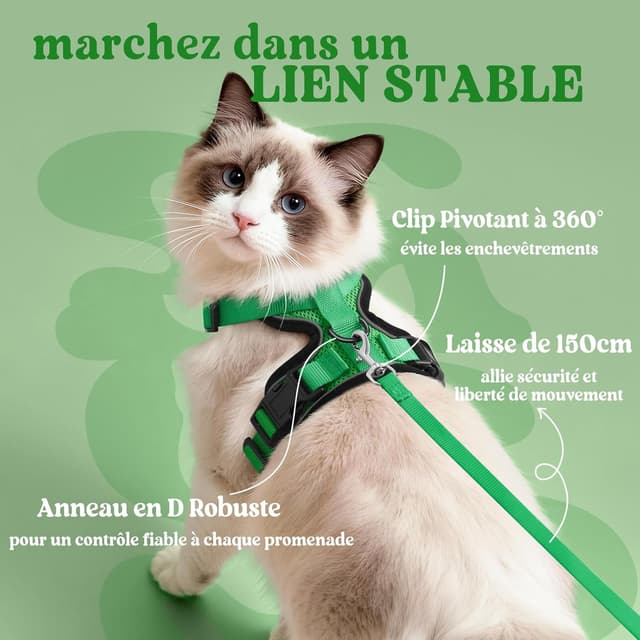 Detalle de rabbitgoo Harnais chat anti-évasion avec laisse et gilet réfléchissant, réglable XS (vert herbe)
