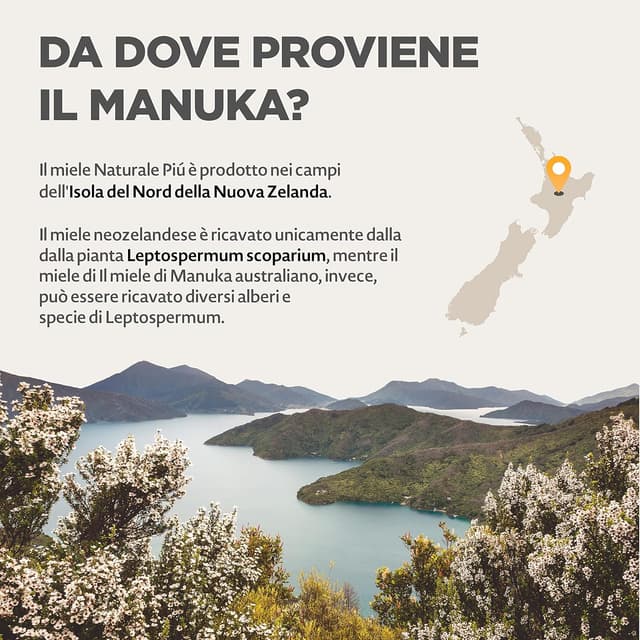 Detalle de NaturalePiù Miele di Manuka 200+ MGO, 500g dalla Nuova Zelanda