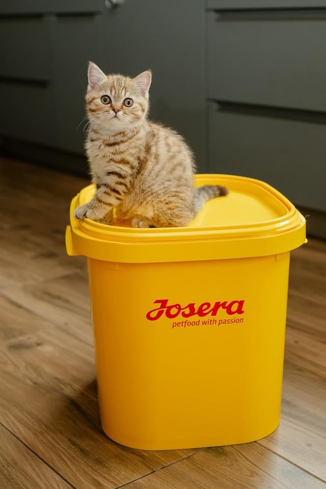 Detalle de JOSERA DailyCat – cibo secco per gatti DailyCat al pollame, confezione da 1 da 10 kg