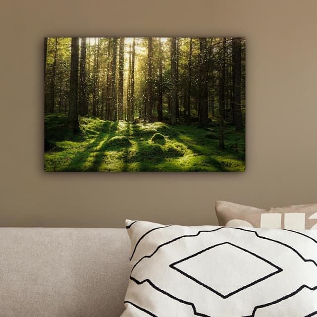 Thumbnail 3 de MuchoWow Impression sur Toile 30x20 cm