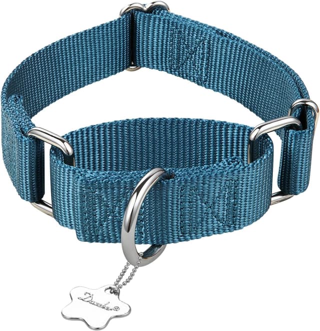 Thumbnail 3 de Dazzber Martingale Dog Collar 43-64 cm