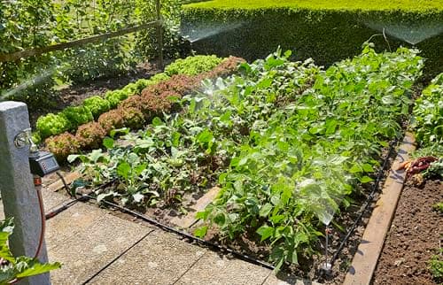 Thumbnail 3 de GARDENA Set de Inicio para Jardín 40 m² 🌼