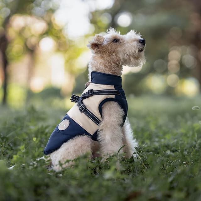 Detalle de BT Bear Dog Winter Coat With Harness (Navy Blue, XXL) – Waterproof outdoor jacket for small to medium dogs