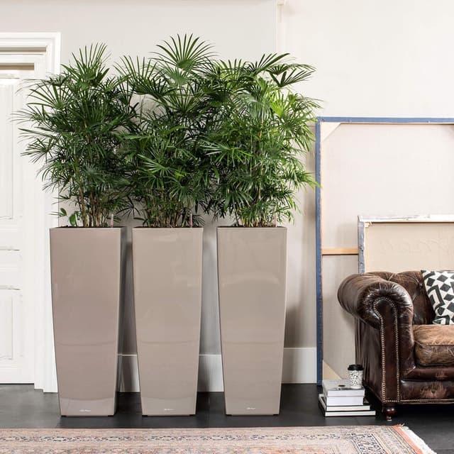 Thumbnail 4 de LECHUZA CUBICO Alto Premium 40 bianco lucido