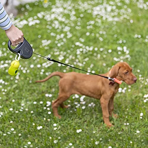 Detalle 2 de Ferplast Flippy One Cord M correa retráctil 5 m para perros 🐕