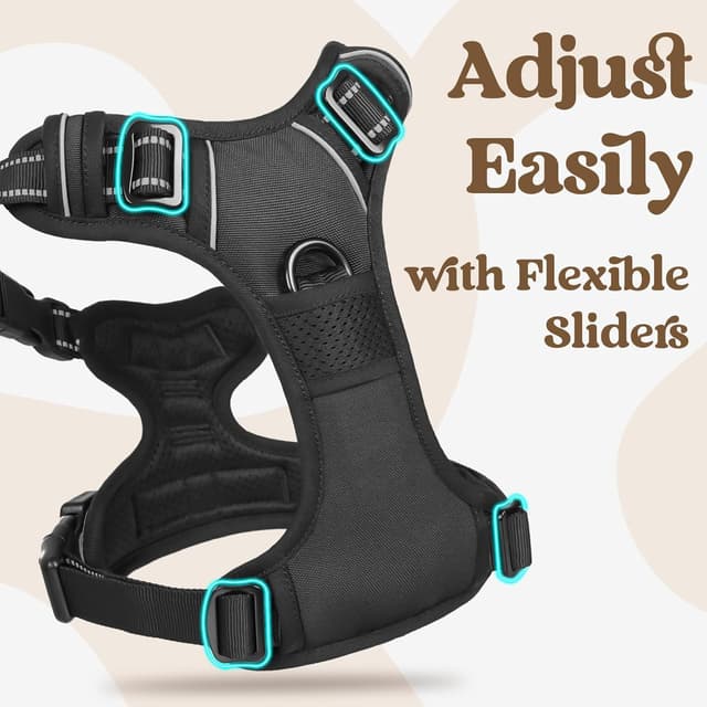 Detalle 2 de rabbitgoo Small Dog Harness with Neck Release Buckle (Black, S)