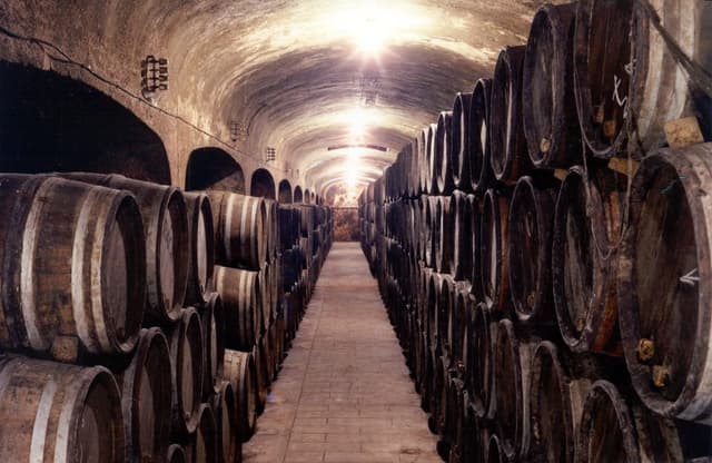 Detalle 1 de BACH Extrísimo Cava Brut 🥂 Caja 6 botellas 75cl