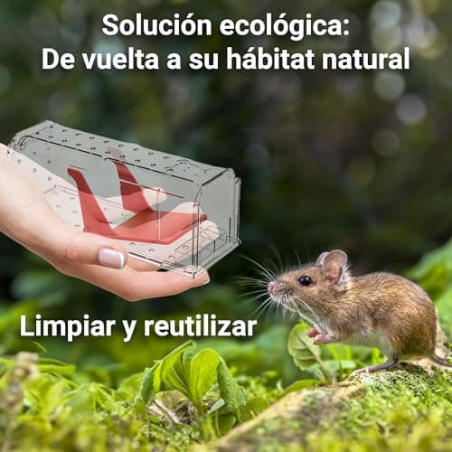 Thumbnail 4 de Roshield 2X Trampas humanas para ratones 🐭