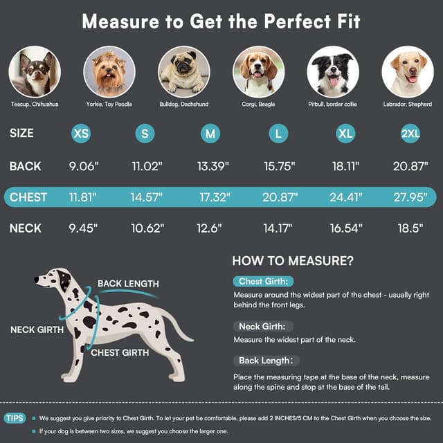 Detalle de Queenmore French Bulldog Jumper – Stretchy Warm Turtleneck Knitted Dog Sweater (Greyhound/Labrador/Border Collie), Lake Blue, L