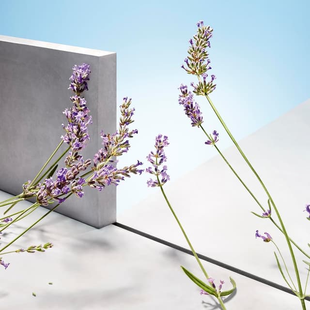 Detalle de Hugo Man deodorante stick 75 ml