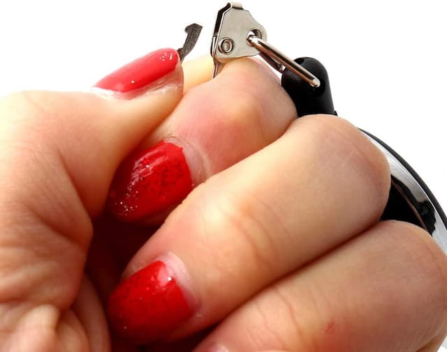 Thumbnail 4 de ZHIYE Badge Reel 5 Pack