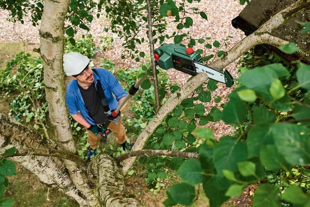 Thumbnail 4 de Bosch UniversalChainPole 18 potatore telescopico 🪚