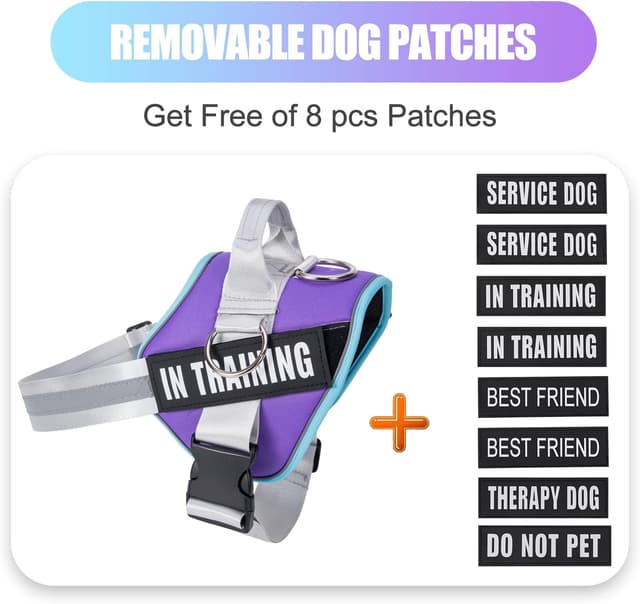 Detalle 2 de 3 Ring No Pull Dog Harness with Reflective Vest, Adjustable Straps and 3 Leash Clips