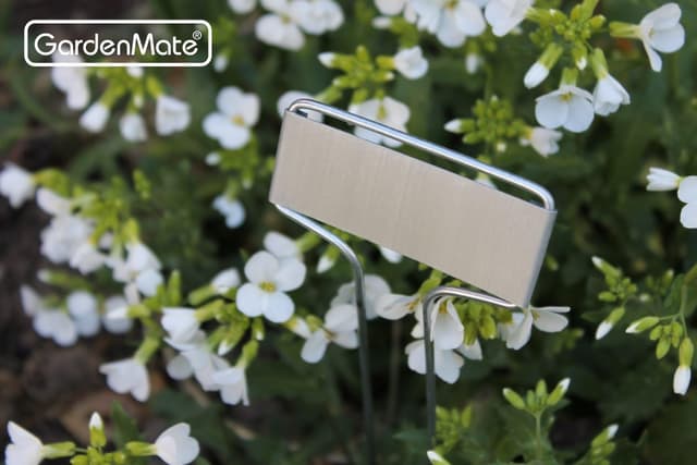 Detalle 2 de GardenMate étiquettes plantes métal 25