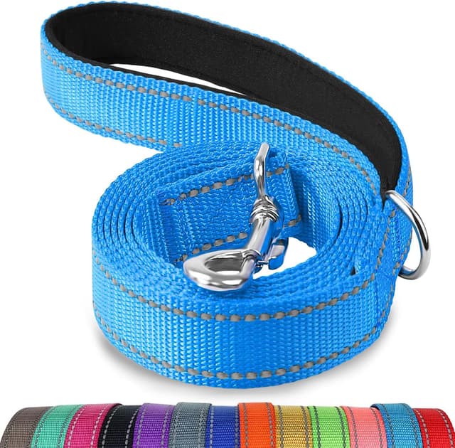 Detalle de Joytale Padded Handle Dog Lead with Double-Sided Reflective Nylon (SkyBlue)