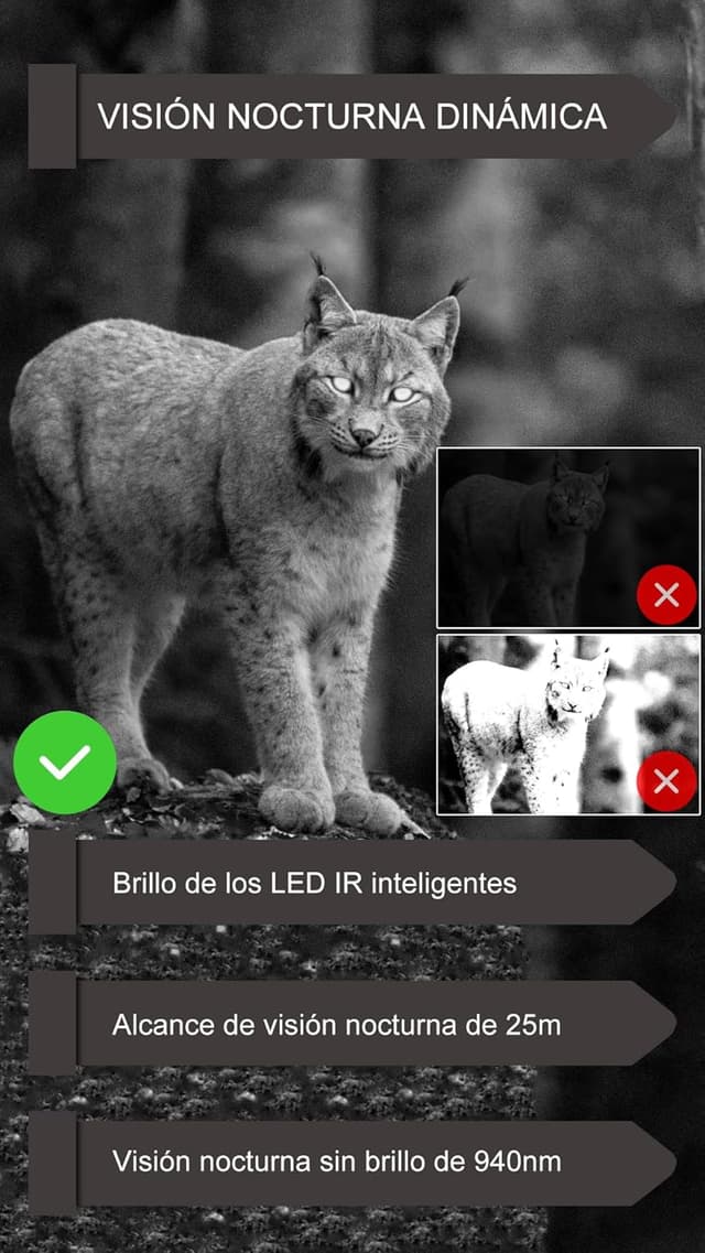 Thumbnail 5 de GardePro E6P MAX Cámara de caza 8000mAh