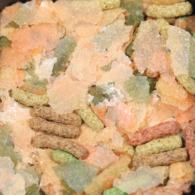 Thumbnail 4 de JBL PROPOND All Seasons VARIOMIX 0,15kg Schwimmfutter