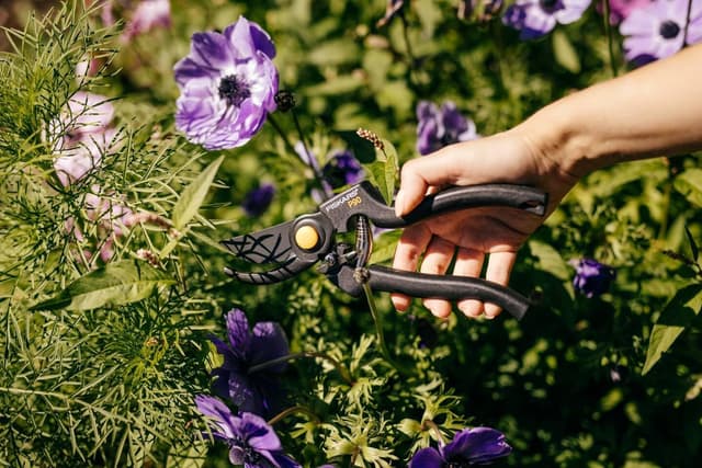 Detalle 2 de Fiskars P90 Tijeras de podar Bypass 🌿 Corte preciso y fácil