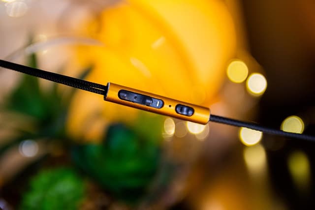 Detalle de LUDOS Ultra Wired Earbuds (In-Ear) with Microphone — Noise Isolating, Memory Foam Tips, 5-Year Warranty, Gold