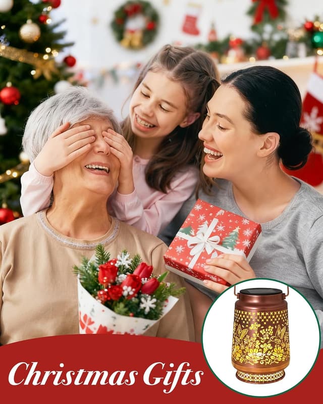 Detalle de Mothers Day & Birthday Gifts solar hummingbird lantern for outdoor gardens (17 x 11.5 cm) — IP65 hanging metal light