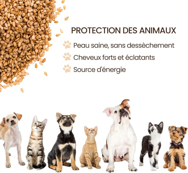 Thumbnail 3 de bleu & marine Huile de Lin 5000 ml 🐾