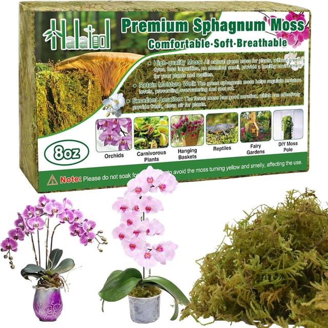 Detalle de Halatool Sphagnum Moos 230 g für Pflanzen – naturbelassenes Moos für Orchideen, Terrarien & Umtopfen