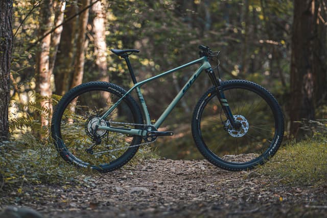 Detalle 2 de BH ULTIMATE 6.5 Bicicleta 29" 100 mm