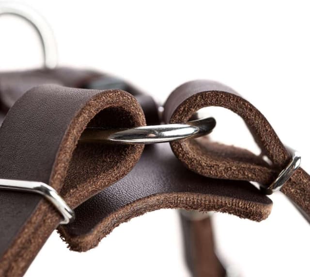 Thumbnail 1 de HUNTER AALBORG Leder Geschirr XS 38â52 cm đŸ