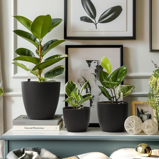 Detalle de T4U set da 4 vasi autoirriganti da interno/esterno protetto da 22 cm con indicatore livello acqua