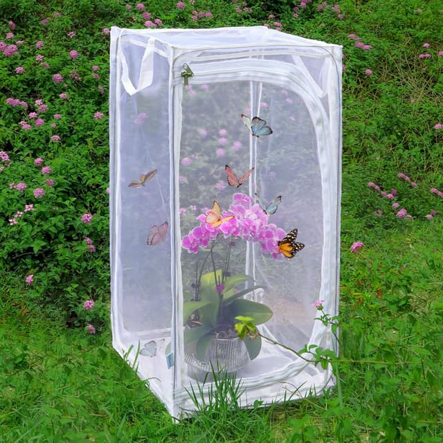 Thumbnail 6 de Large 30" Monarch Butterfly Cage 🦋