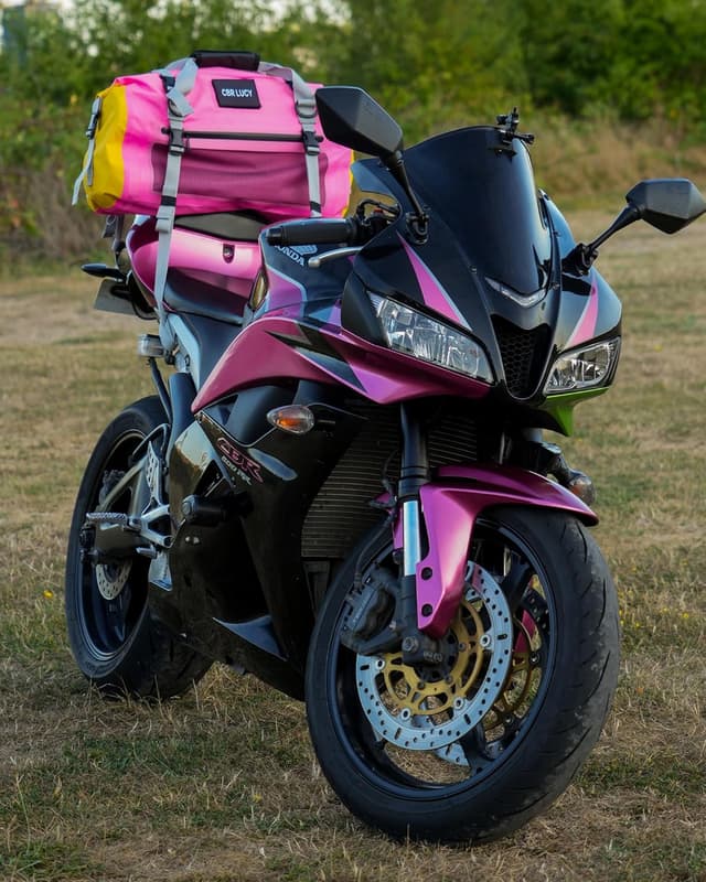 Detalle de IRON JIA’S Borsa moto impermeabile posteriore da viaggio Rosa 50L (sella posteriore)
