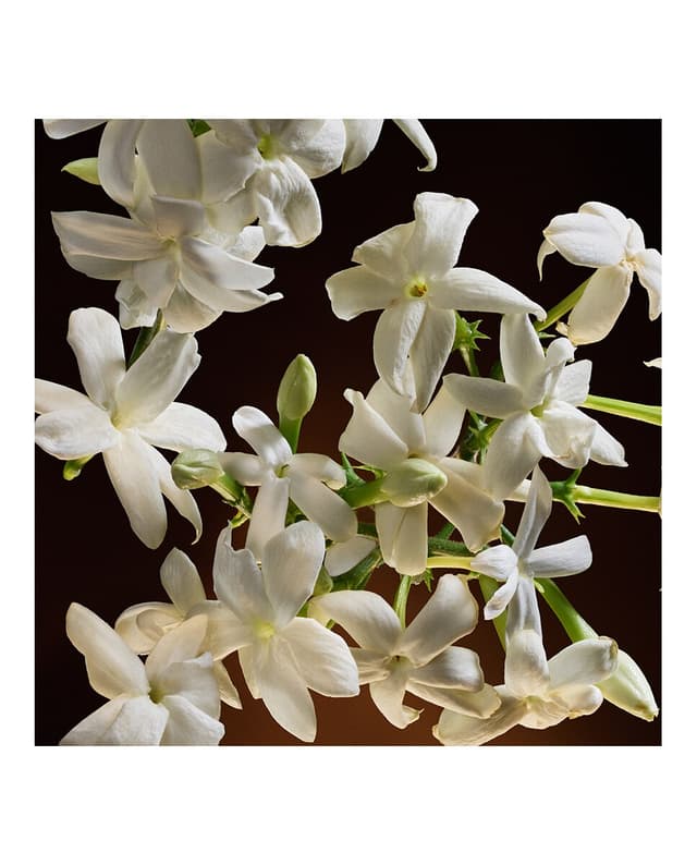 Thumbnail 4 de Dolce & Gabbana Intense Eau de Parfum 💐