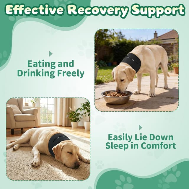 Thumbnail 2 de OHCOZZY Dog Neck Brace Adjustable