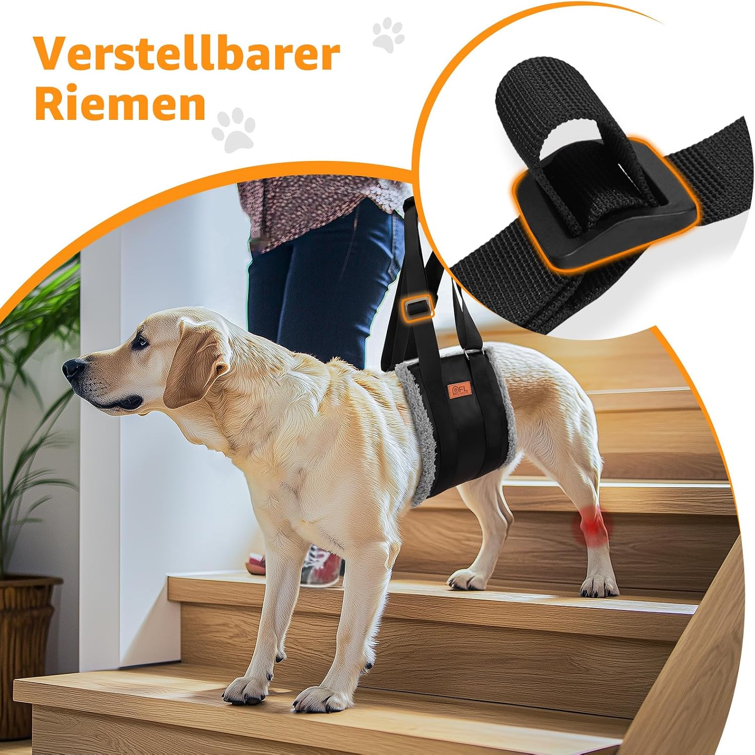 Thumbnail 1 de Verstellbare Hunde-Tragehilfe – flexible Geh- und Rehabilitationshilfe für Hunde jeder Größe
