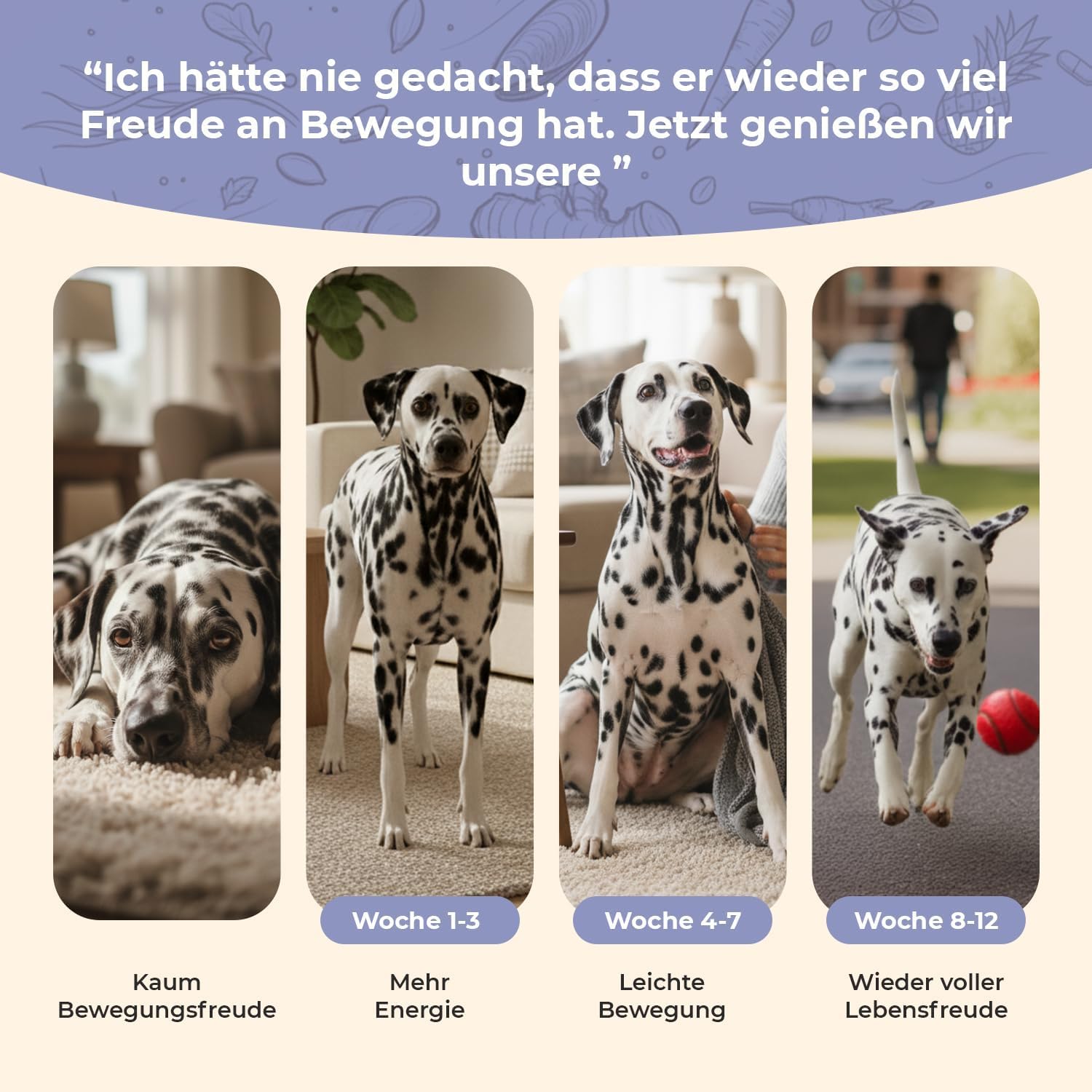 Detalle 2 de Gelenktabletten für Hunde 120 Tabletten