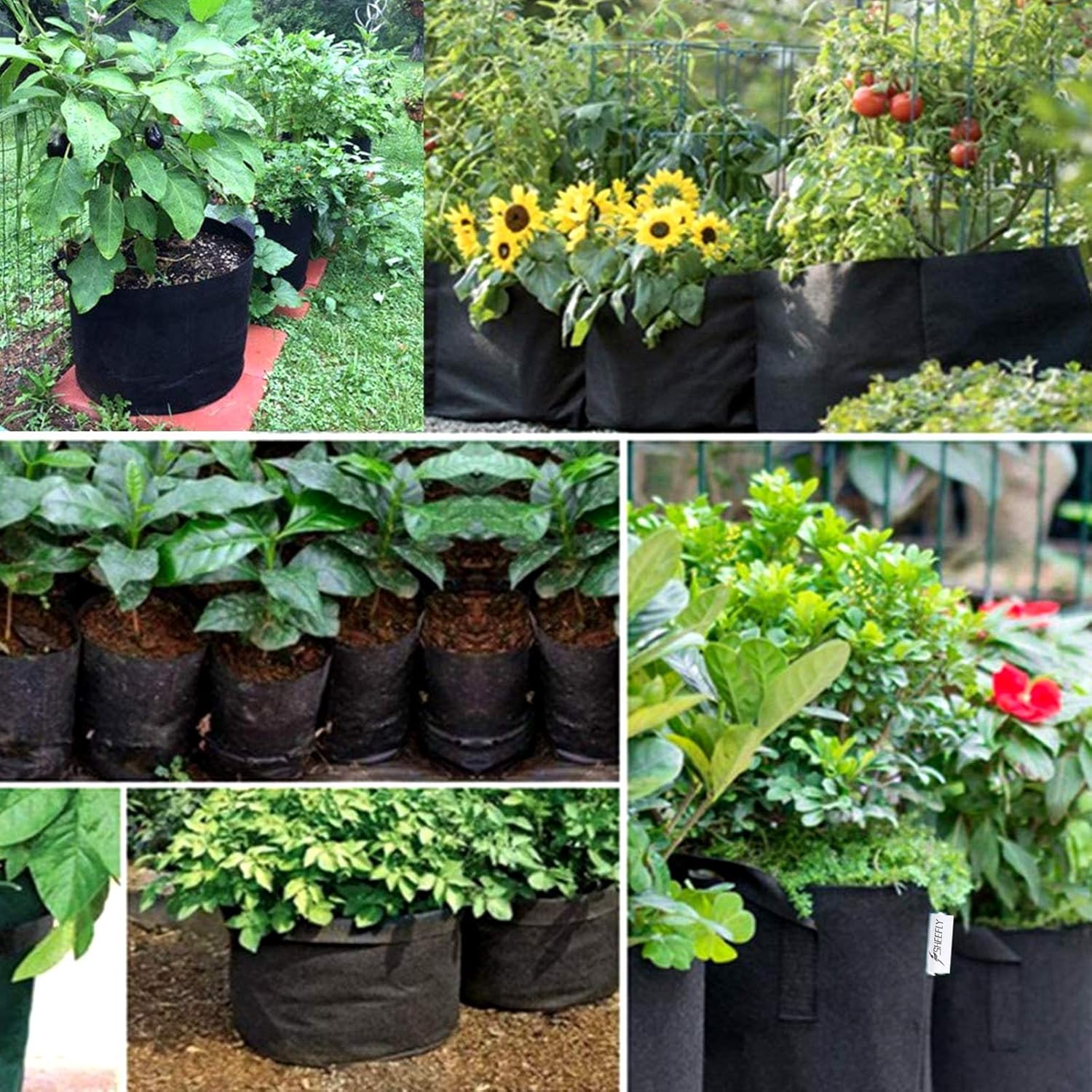 Thumbnail 6 de SHEEFLY 10 Pack 7 Gallon Grow Bags (300GSM) with Reinforced Handles and Plant Labels