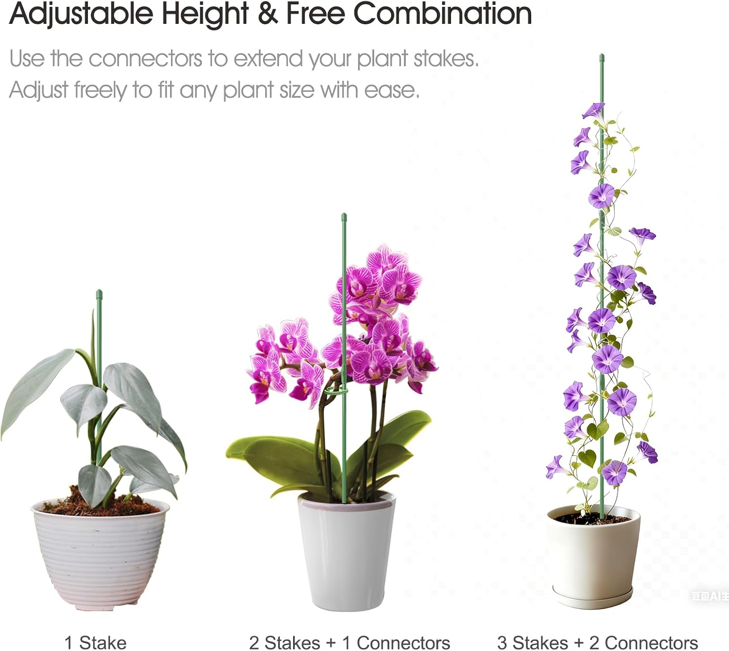 Detalle de RIFNY Plant Supports 30cm for indoor use