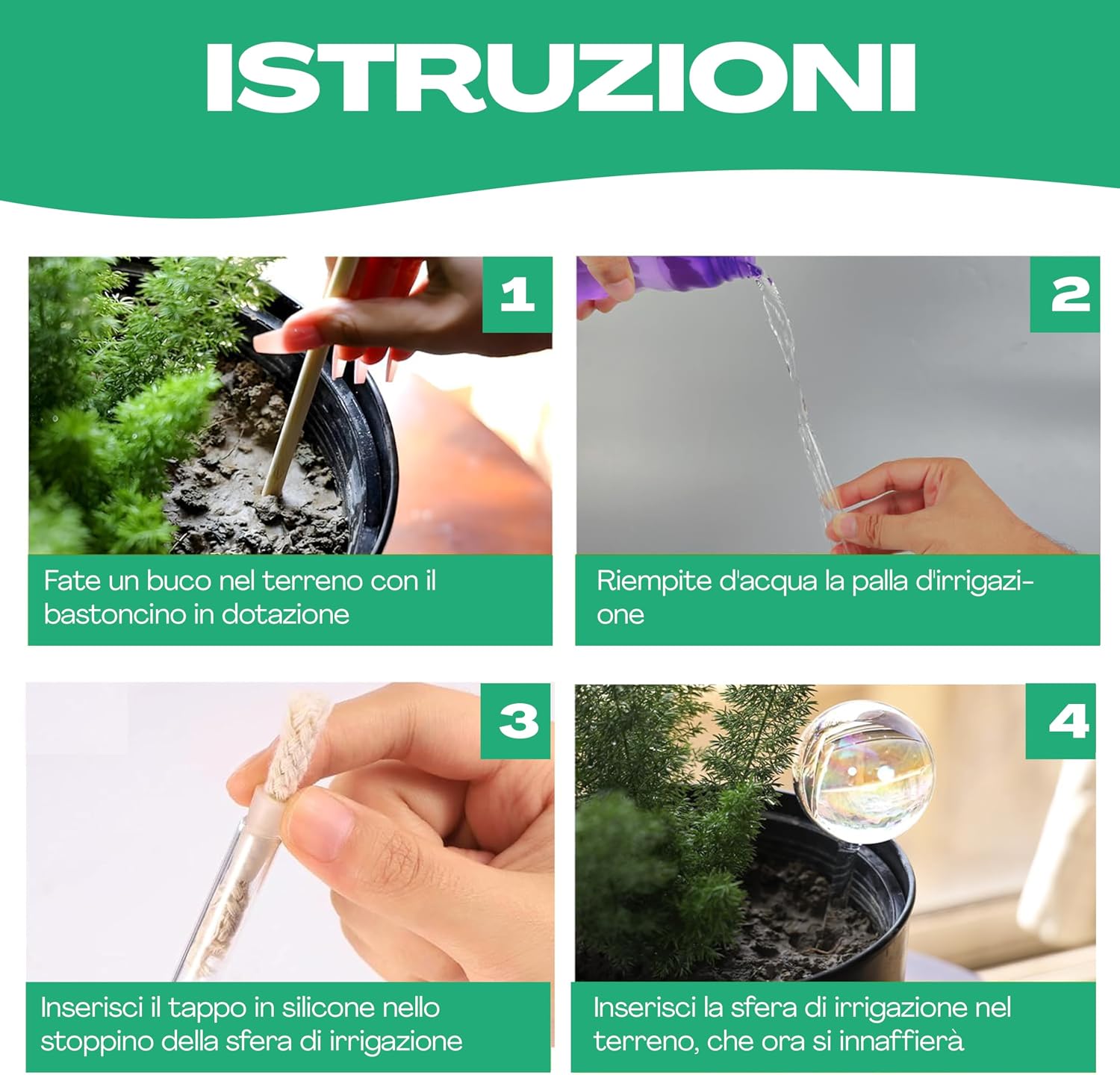 Detalle de Netrox - 2 Bulbi Autoirriganti in Vetro spesso: irrigazione semplice e autoctona per vasi e balconi