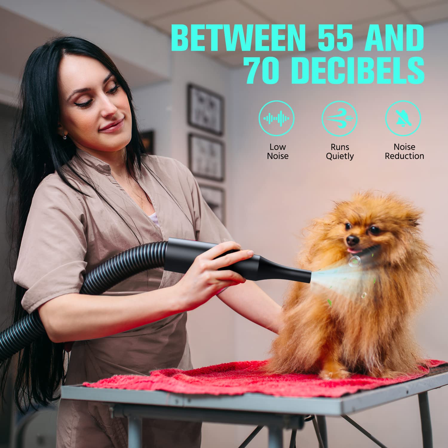 Detalle de Pet Grooming Dryer 3800W