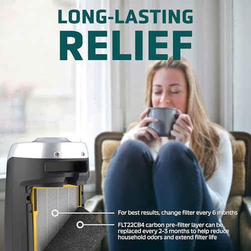 Detalle de GermGuardian Filter B HEPA Pure Genuine Air Purifier Filter