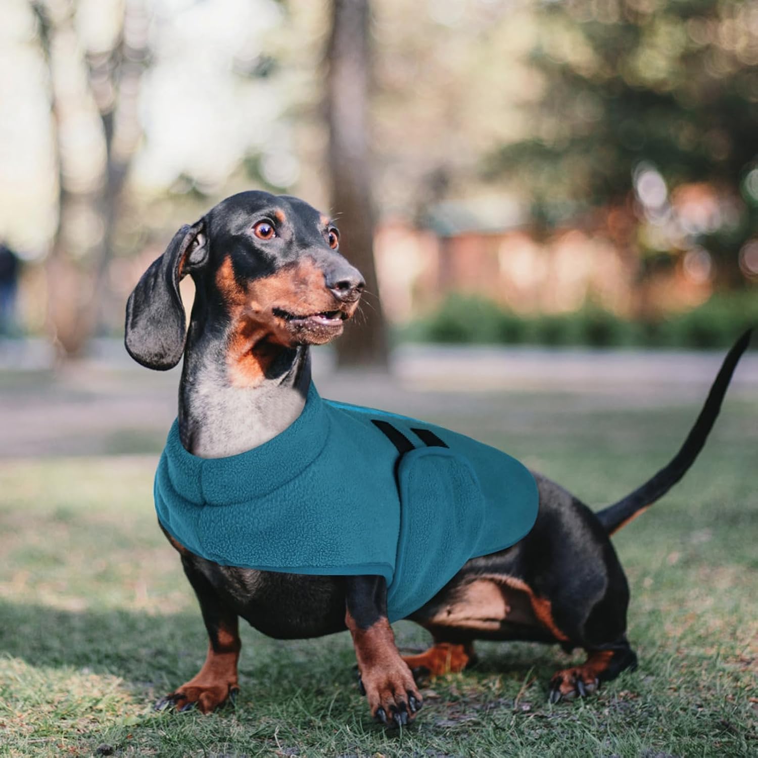 Detalle 1 de PUZAUKAL Hundepullover Fleece Weste XS